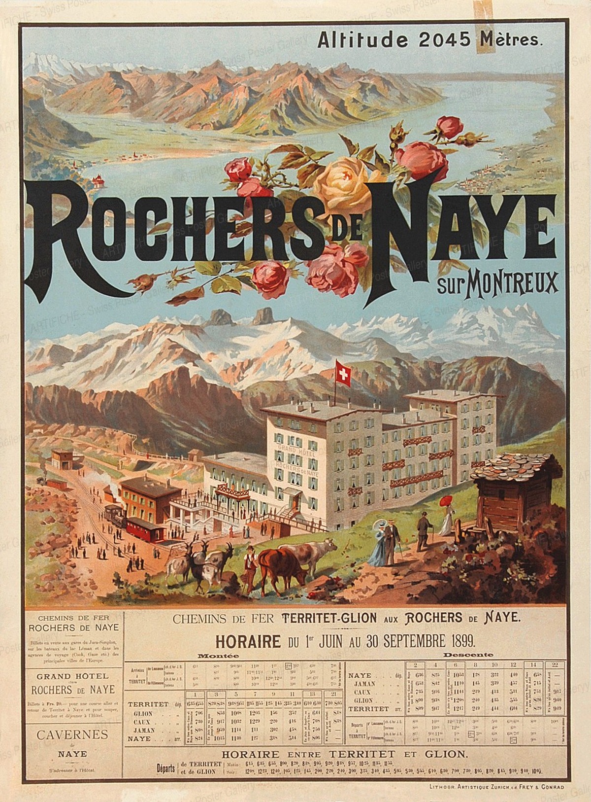 ROCHERS DE NAYE – sur Montreux – Altitude 2045 Mètres, Anton Reckziegel