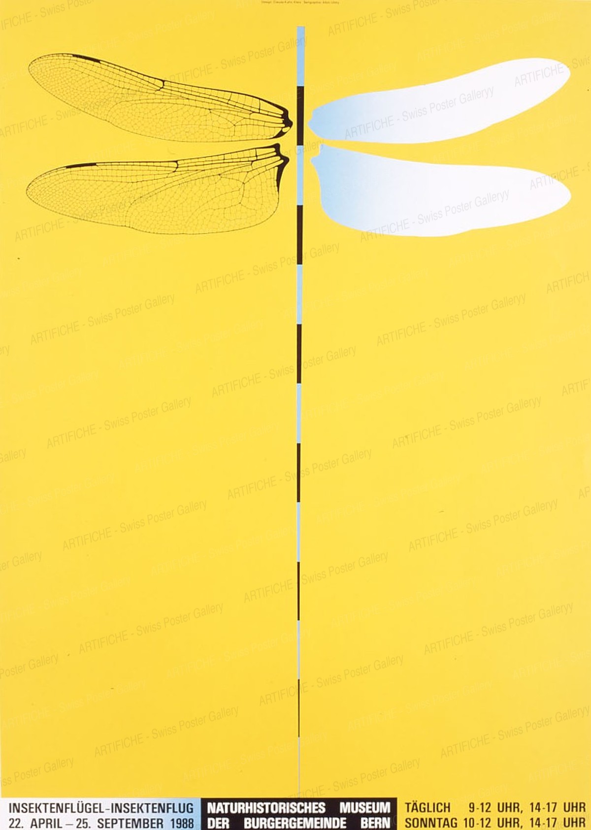 Naturhistorisches Museum der Burgergemeinde Bern – Insektenflügel Insektenflug, Claude Kuhn